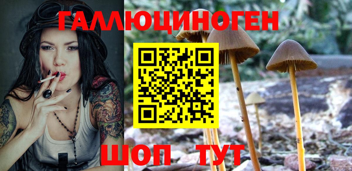 Воскресенск  Галлюциногенные грибы Cubensis  Вход с VPN 